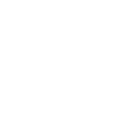 Hive